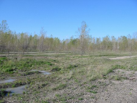 Miracle Mile Drive-In Theatre - Ramps Now - Photo From Water Winter Wonderland (newer photo)